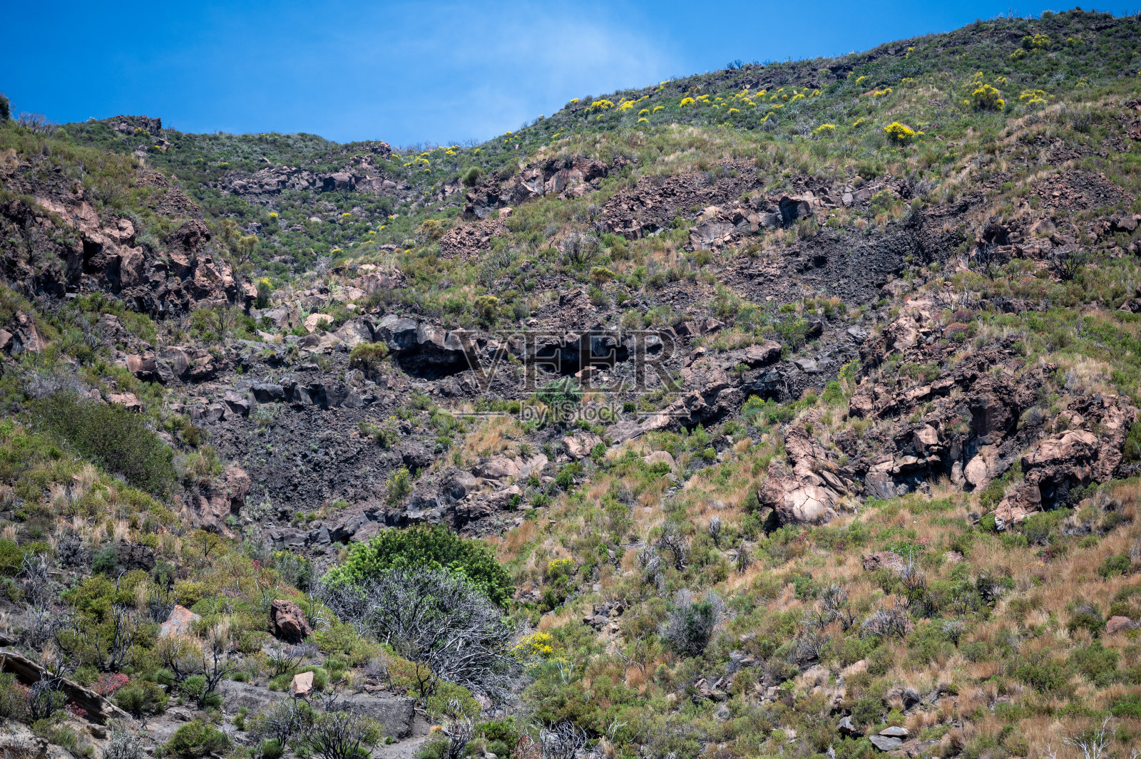 盯着斯特隆博利照片摄影图片