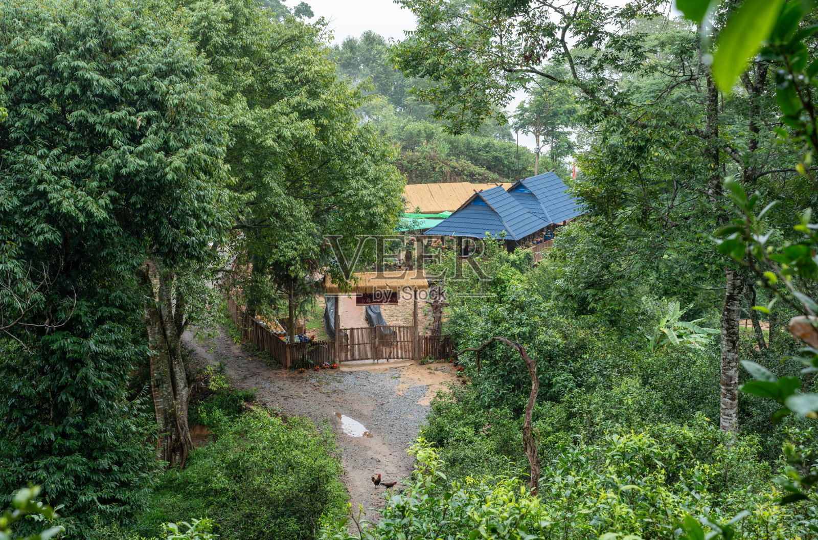 茶园农舍照片摄影图片