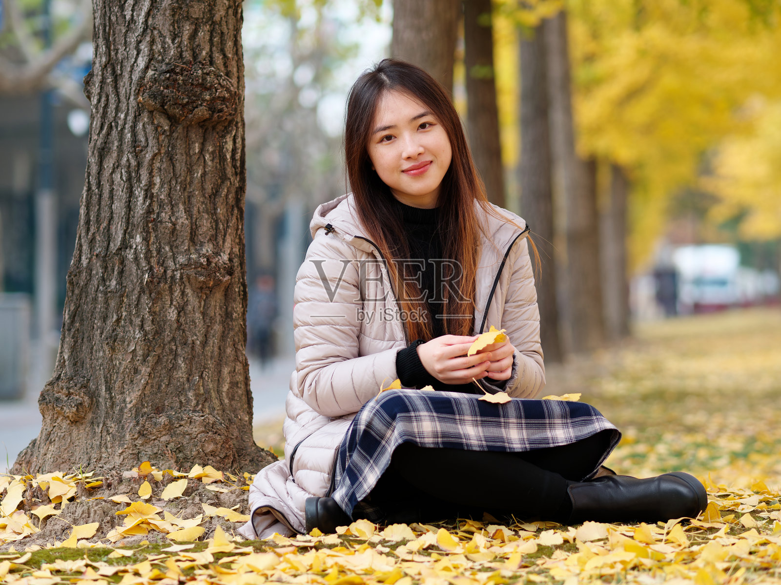 在阳光明媚的日子里，穿着长款羽绒服的中国女孩在森林公园享受无忧无虑的时光。冬季户外时尚肖像魅力年轻的中国女士美丽时髦的女人，女性的生活方式。照片摄影图片