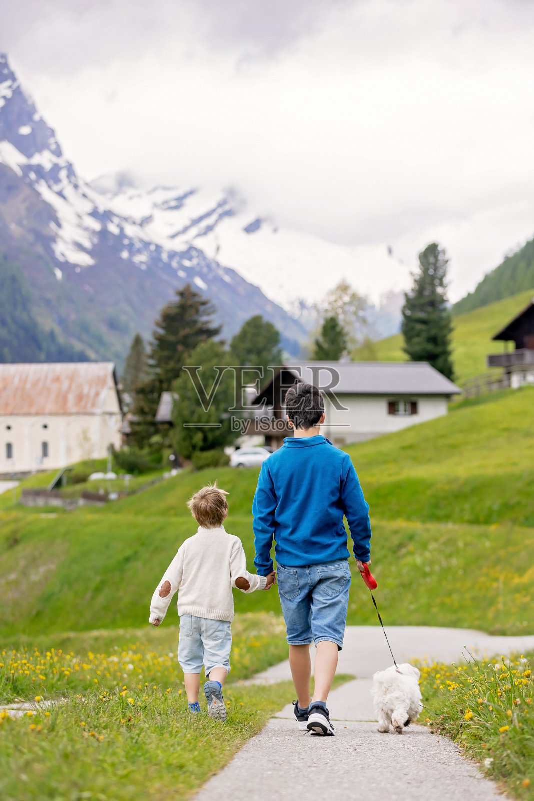 孩子们，男孩兄弟在瑞士阿尔卑斯山的一个春日带着宠物马尔济斯狗旅行照片摄影图片