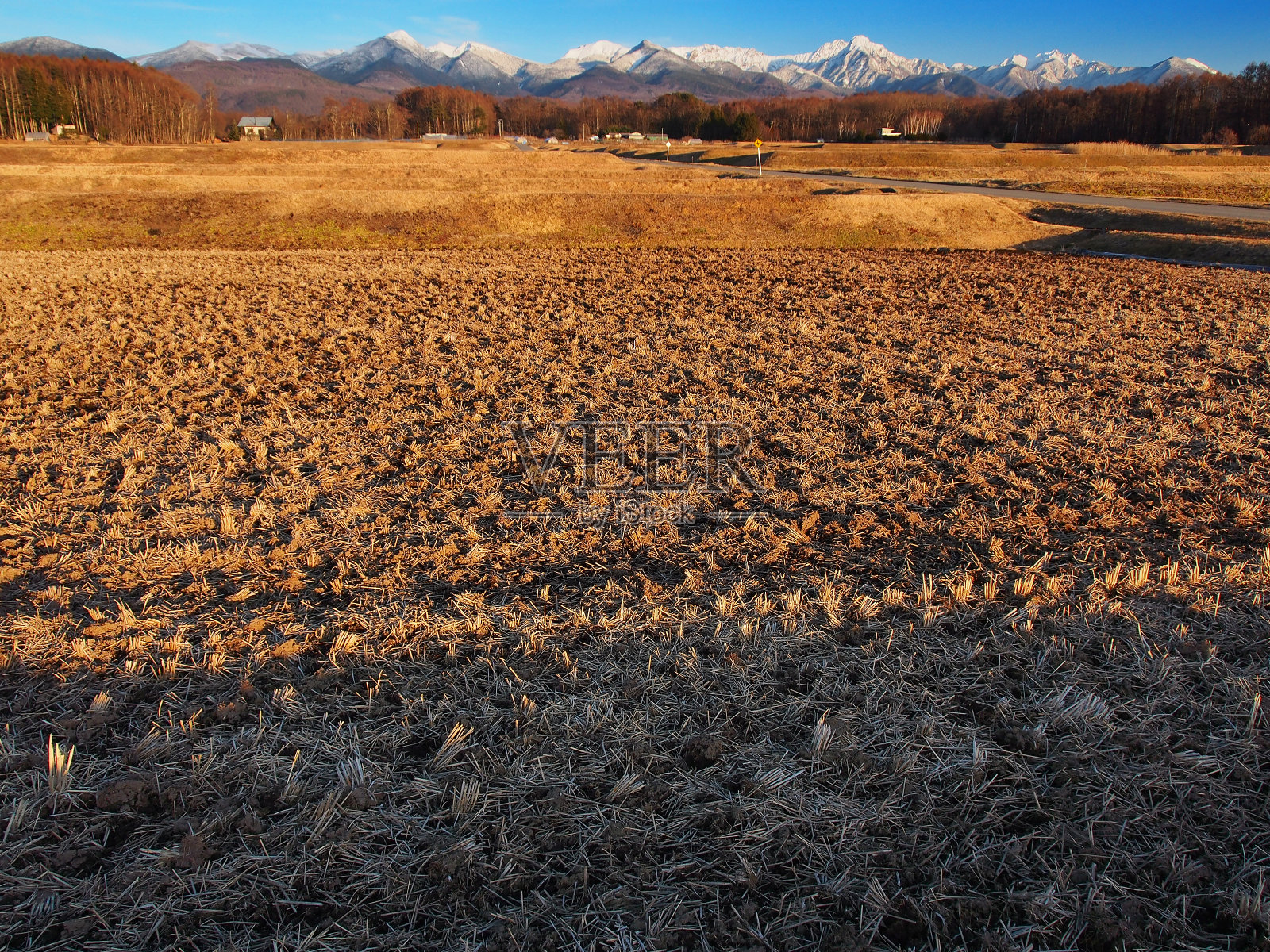 收获后的稻田和矢竹山[日本]照片摄影图片