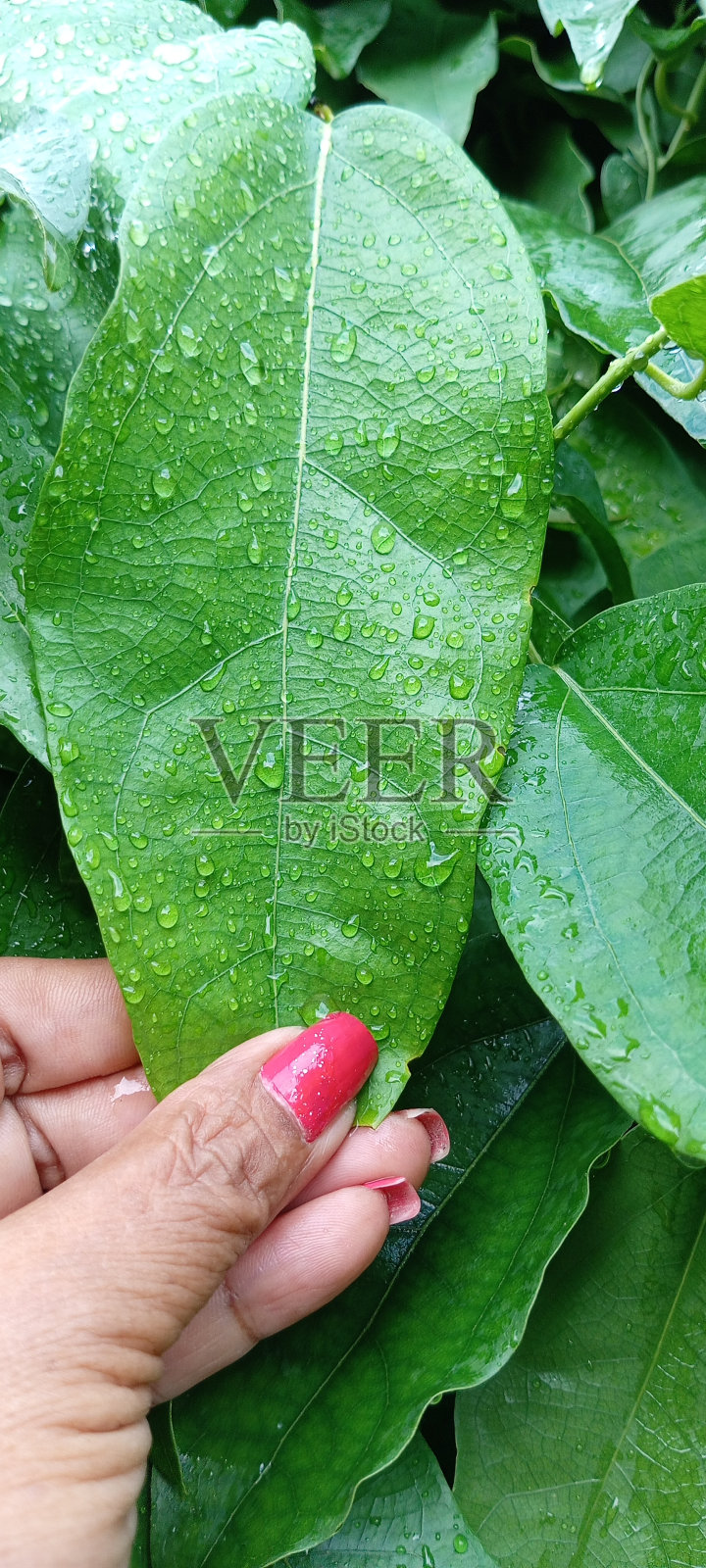 含有维生素和矿物质的健康食品照片摄影图片