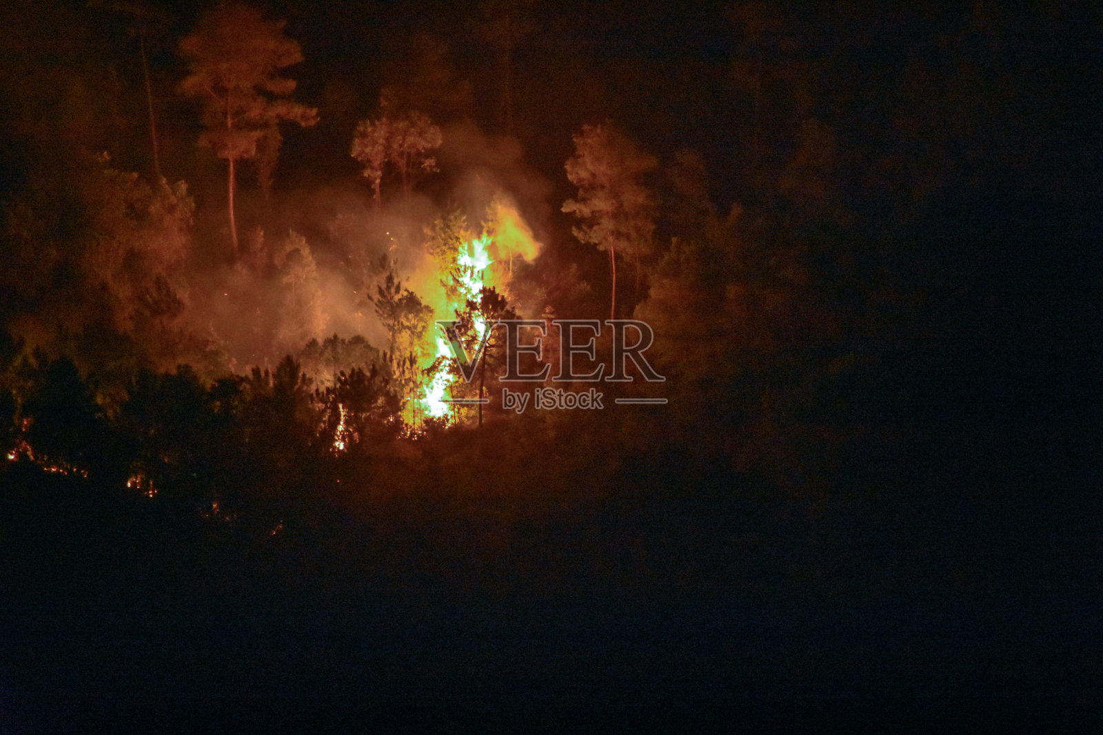 夜间梅加拉亚邦一座山上的森林大火。照片摄影图片