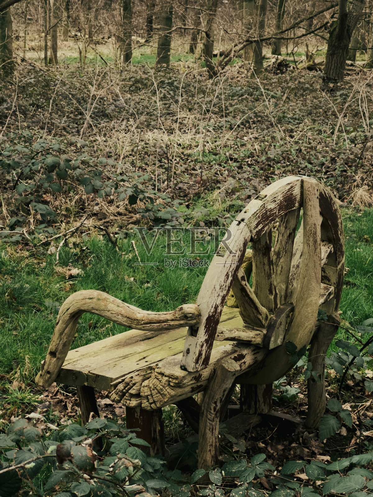 公园里被杂草和枯枝包围的老木凳照片摄影图片