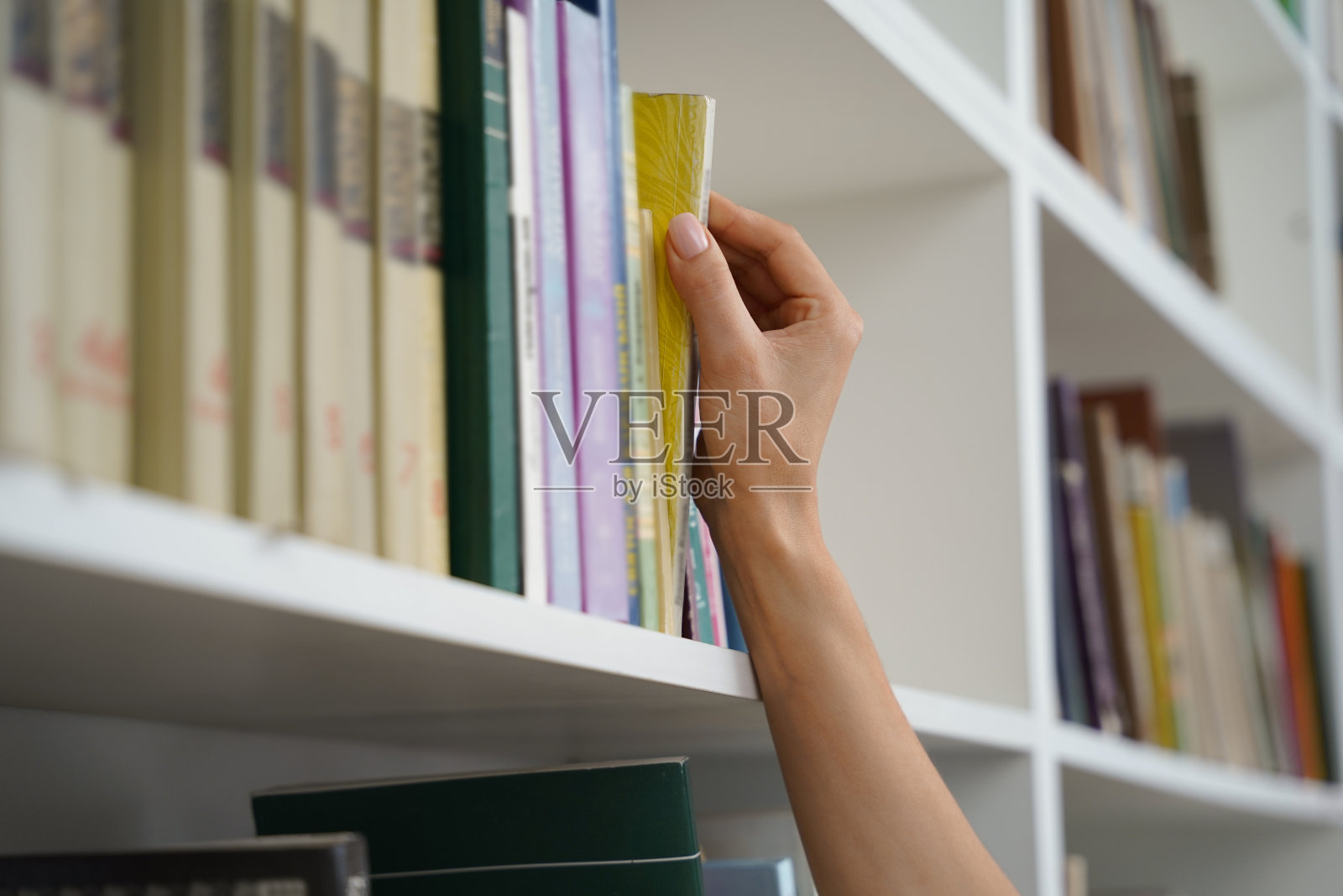 一个正在学习的女学生从图书馆的书架上取书照片摄影图片