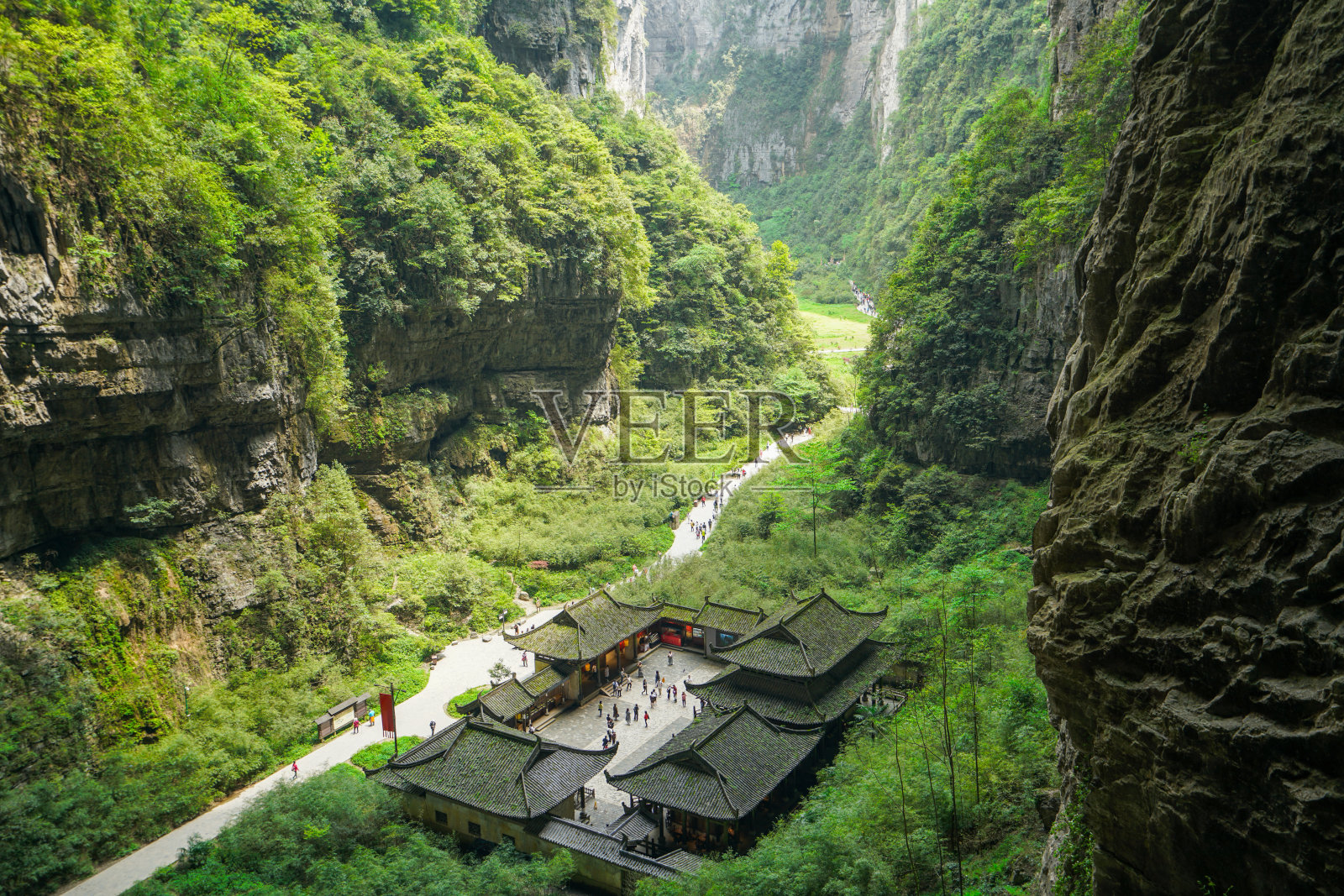 郁郁葱葱的山谷里有一条幽静的小径和唐代风格的建筑。照片摄影图片