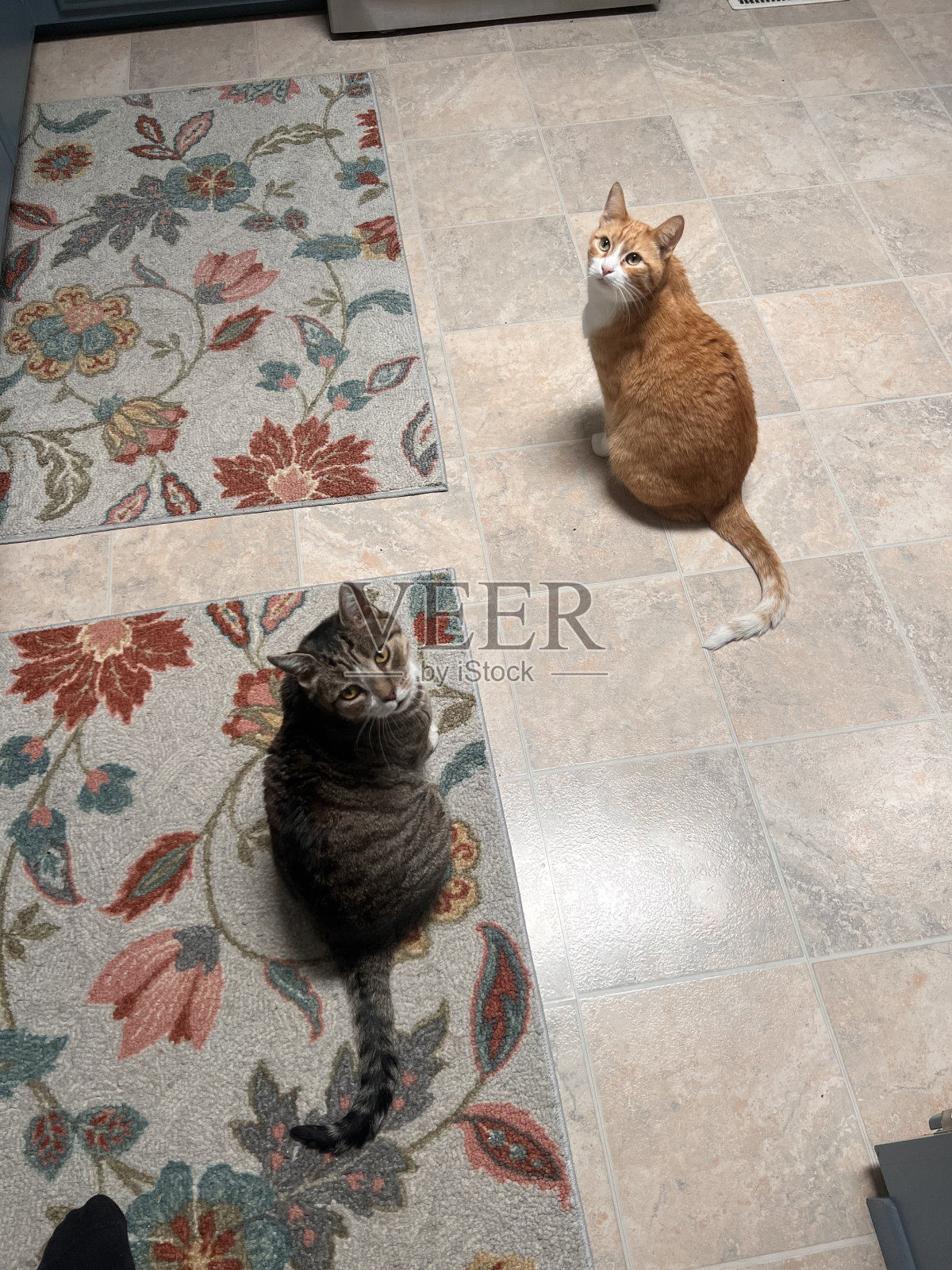 圣玛丽亚老年社区照片摄影图片