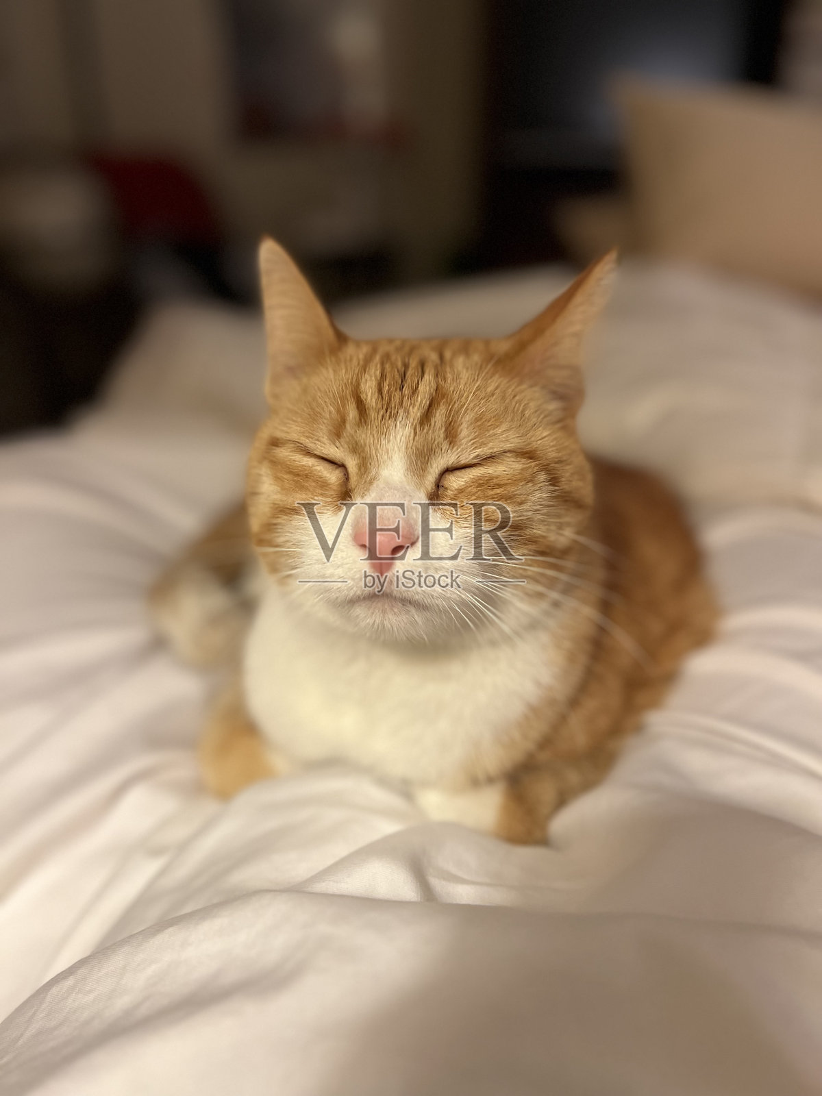 圣玛丽亚老年社区照片摄影图片