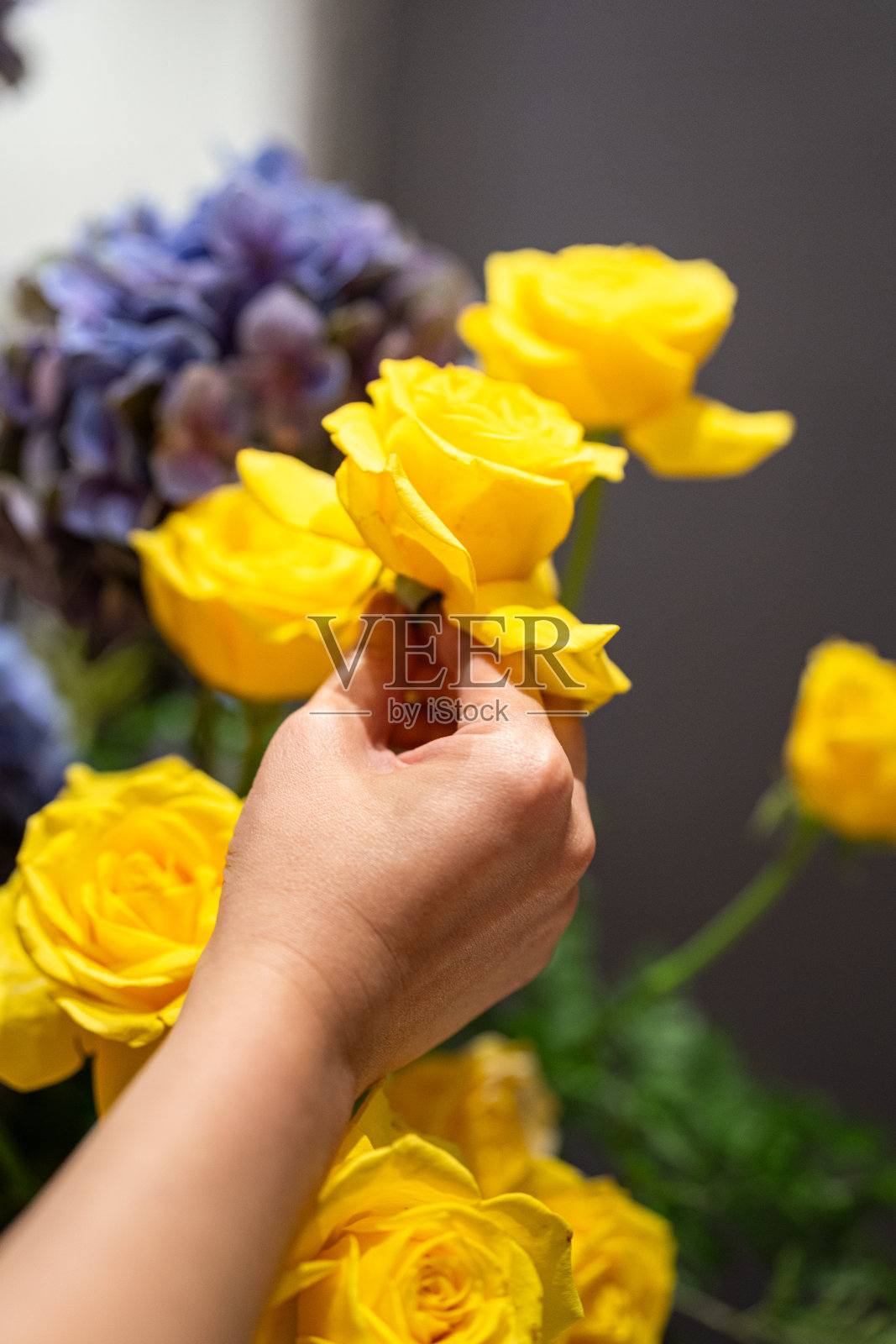 整理一束黄玫瑰。照片摄影图片