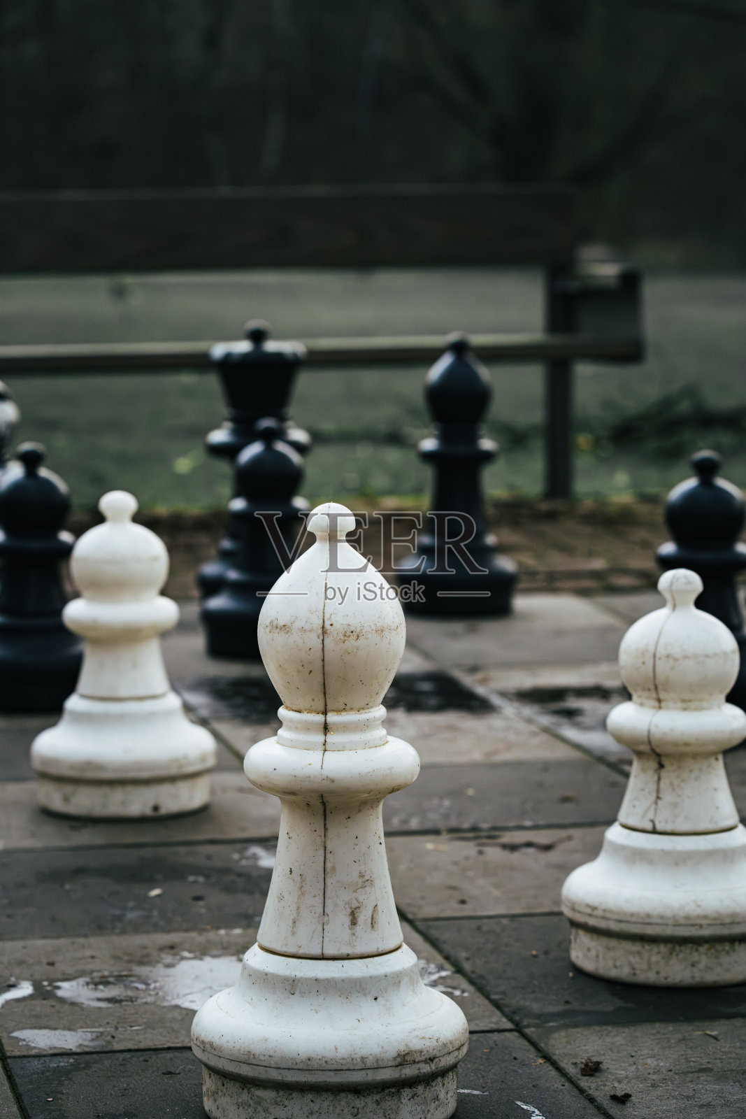 公园地板上的棋子，户外的战略游戏照片摄影图片
