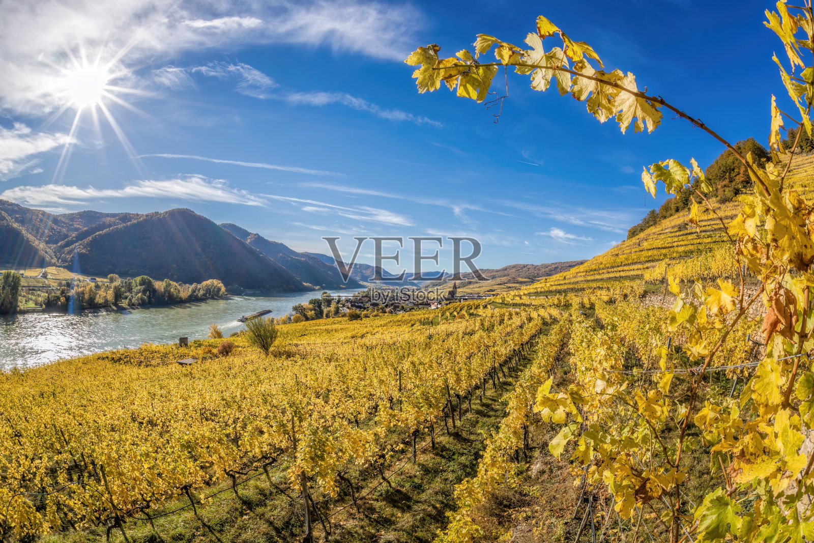 瓦豪山谷(联合国教科文组织世界遗产)的秋天全景，色彩缤纷的葡萄园和多瑙河在奥地利下奥地利的Weissenkirchen村附近照片摄影图片