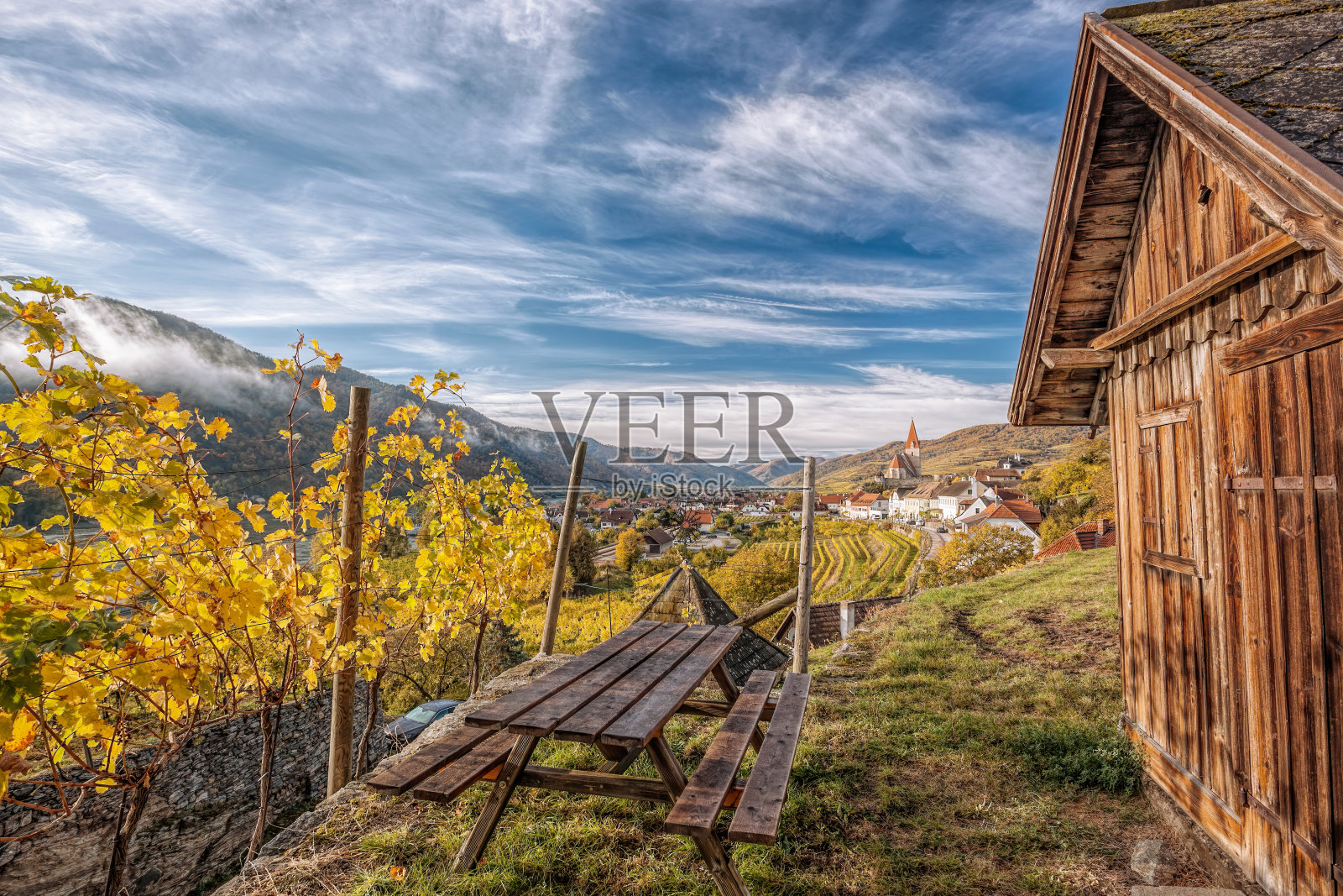 瓦豪山谷(联合国教科文组织世界遗产)的秋季全景，与奥地利下奥地利州魏森基兴村的彩色葡萄园相对照片摄影图片