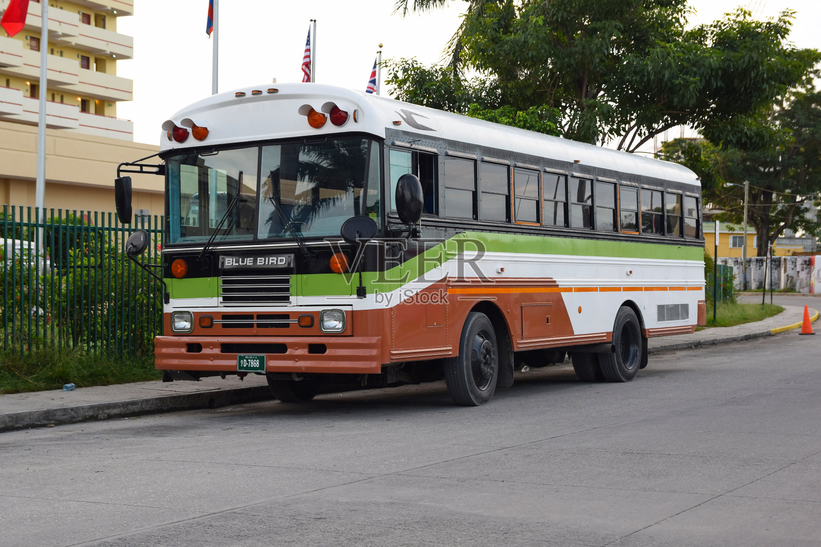 伯利兹市街道上的经典巴士“蓝鸟”照片摄影图片
