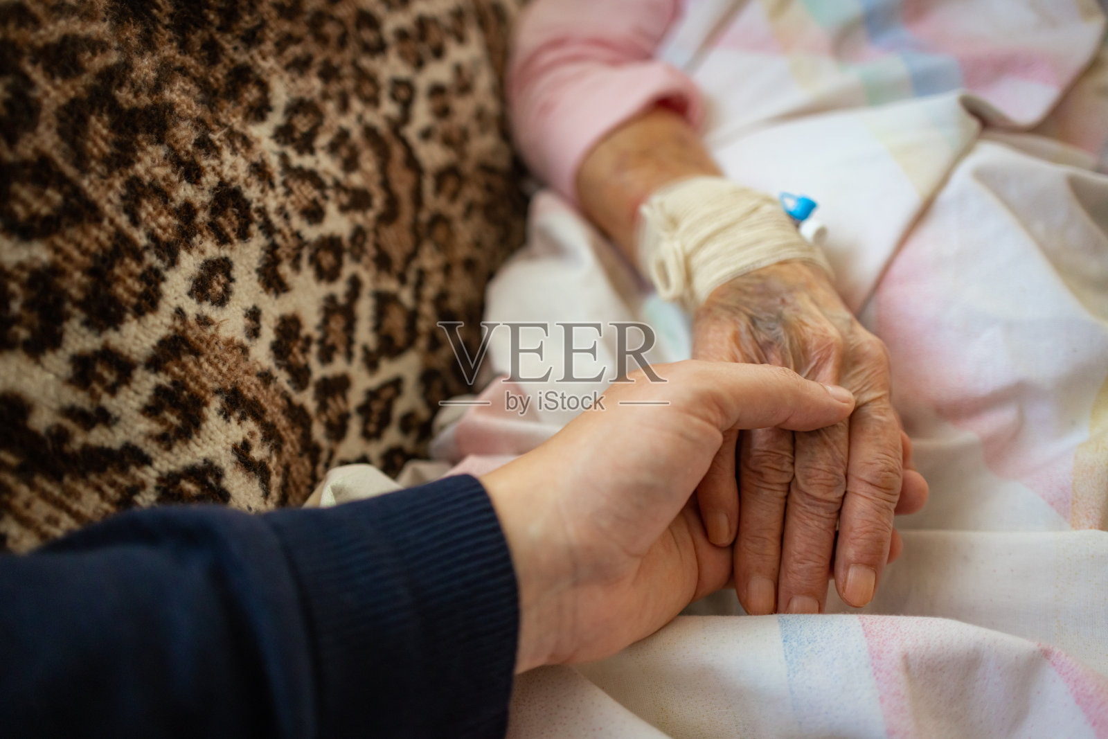 与生病的老人牵手照片摄影图片