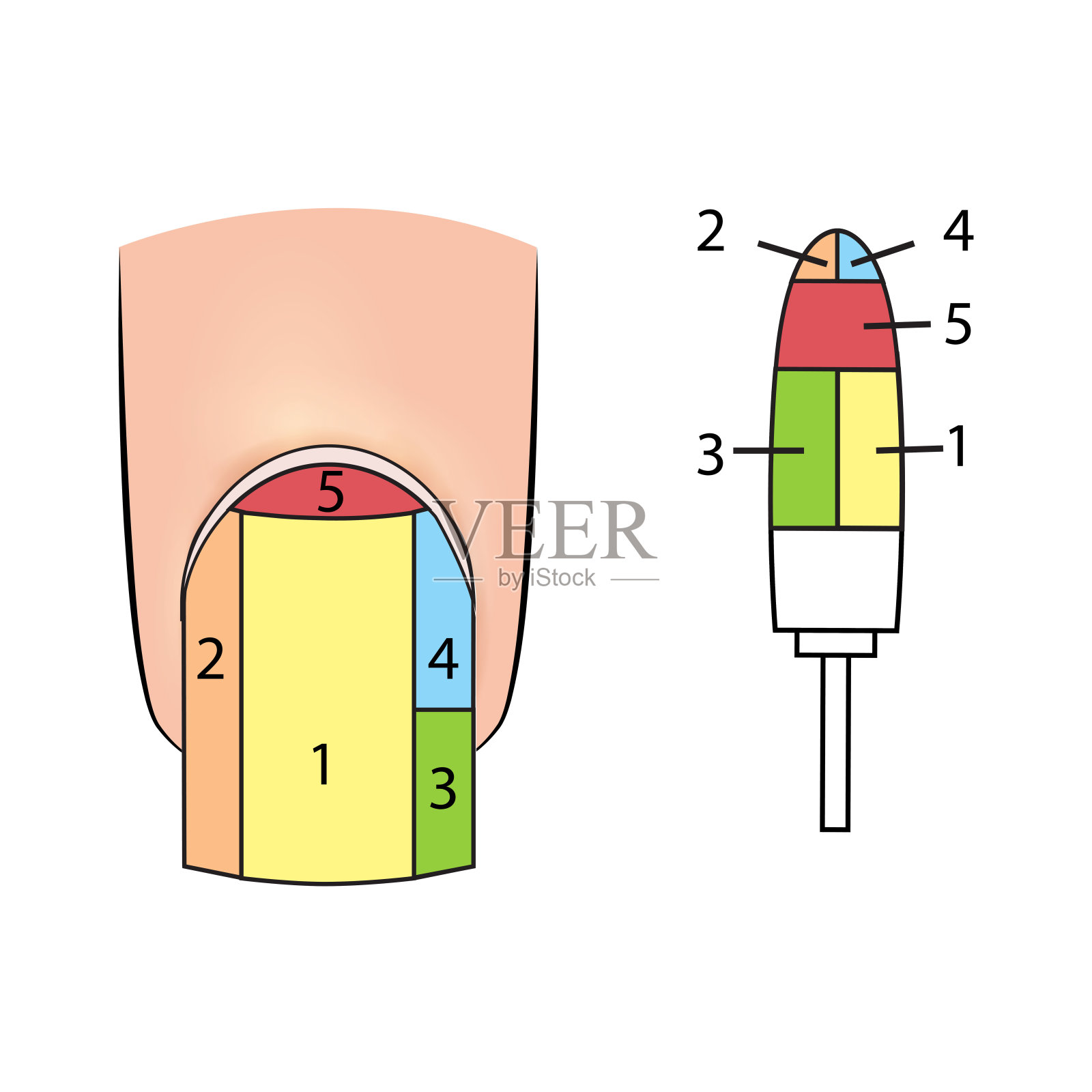 插图与工作表面指甲修剪刀插画图片素材