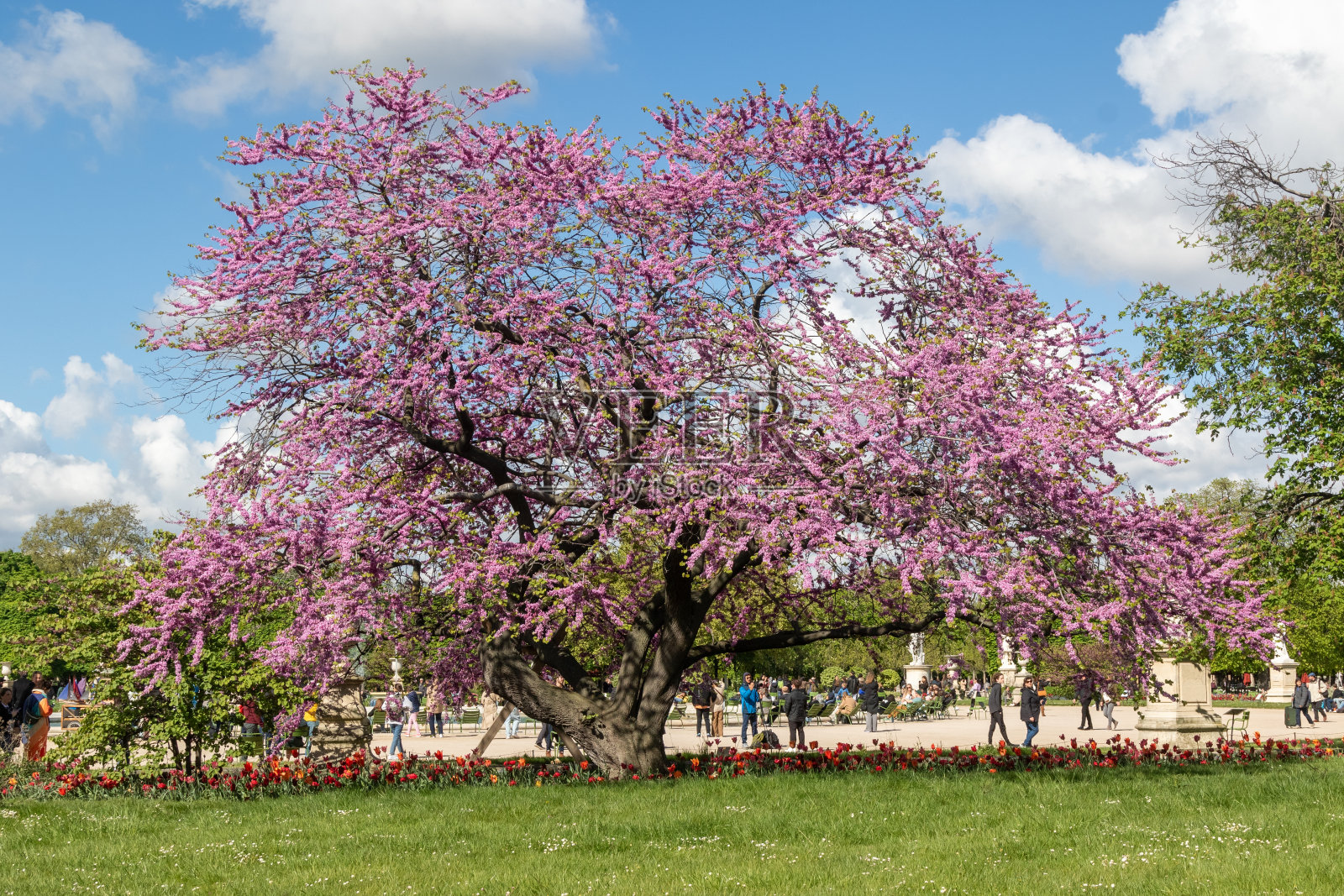 法国的首都，巴黎照片摄影图片