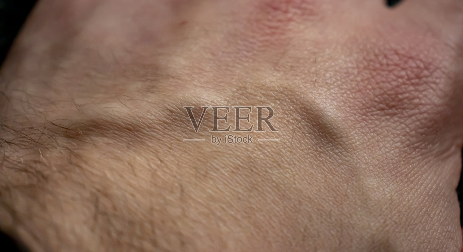 特写:有静脉的人手。皮肤的细节。男性手部纹理照片摄影图片