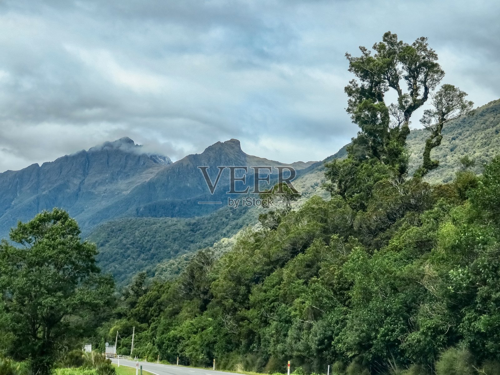 一条穿过茂密雨林的路照片摄影图片