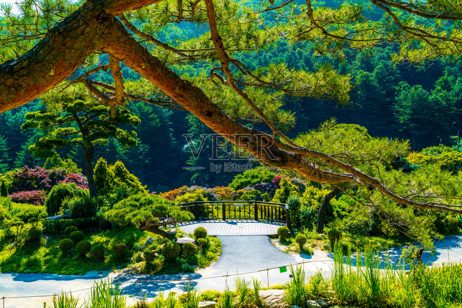天气晴朗时的雄伟花园照片摄影图片