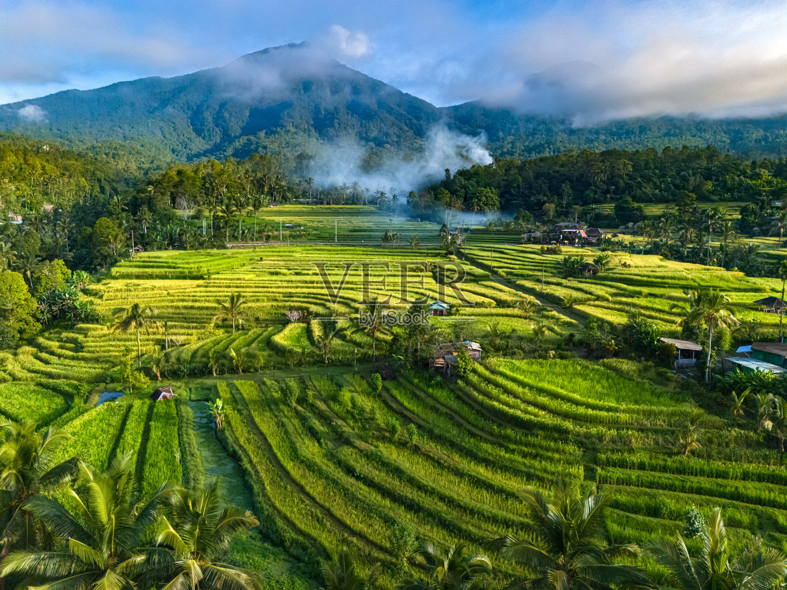 印度尼西亚巴厘岛佩内贝尔地区的jatiluwith水稻梯田照片摄影图片