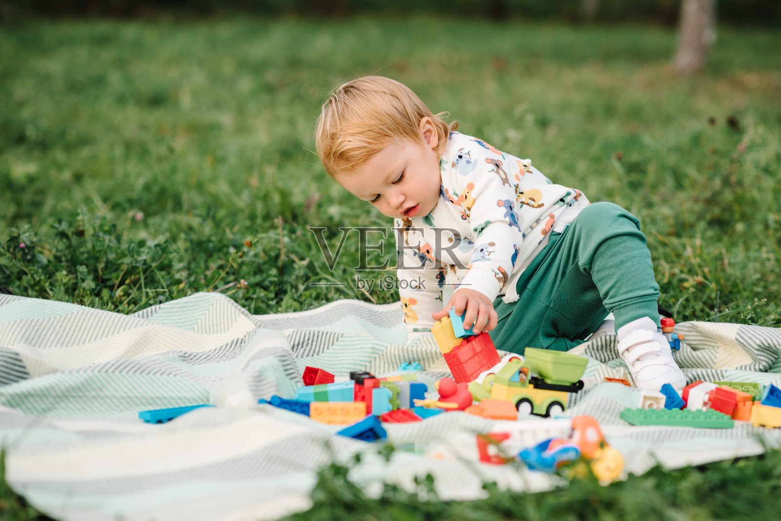 小可爱的蹒跚学步的男孩在花园里散步和玩小汽车玩具。阳光明媚的夏日，2岁的孩子坐在公园的绿草地上毯子上玩建筑游戏。户外创意活动。照片摄影图片