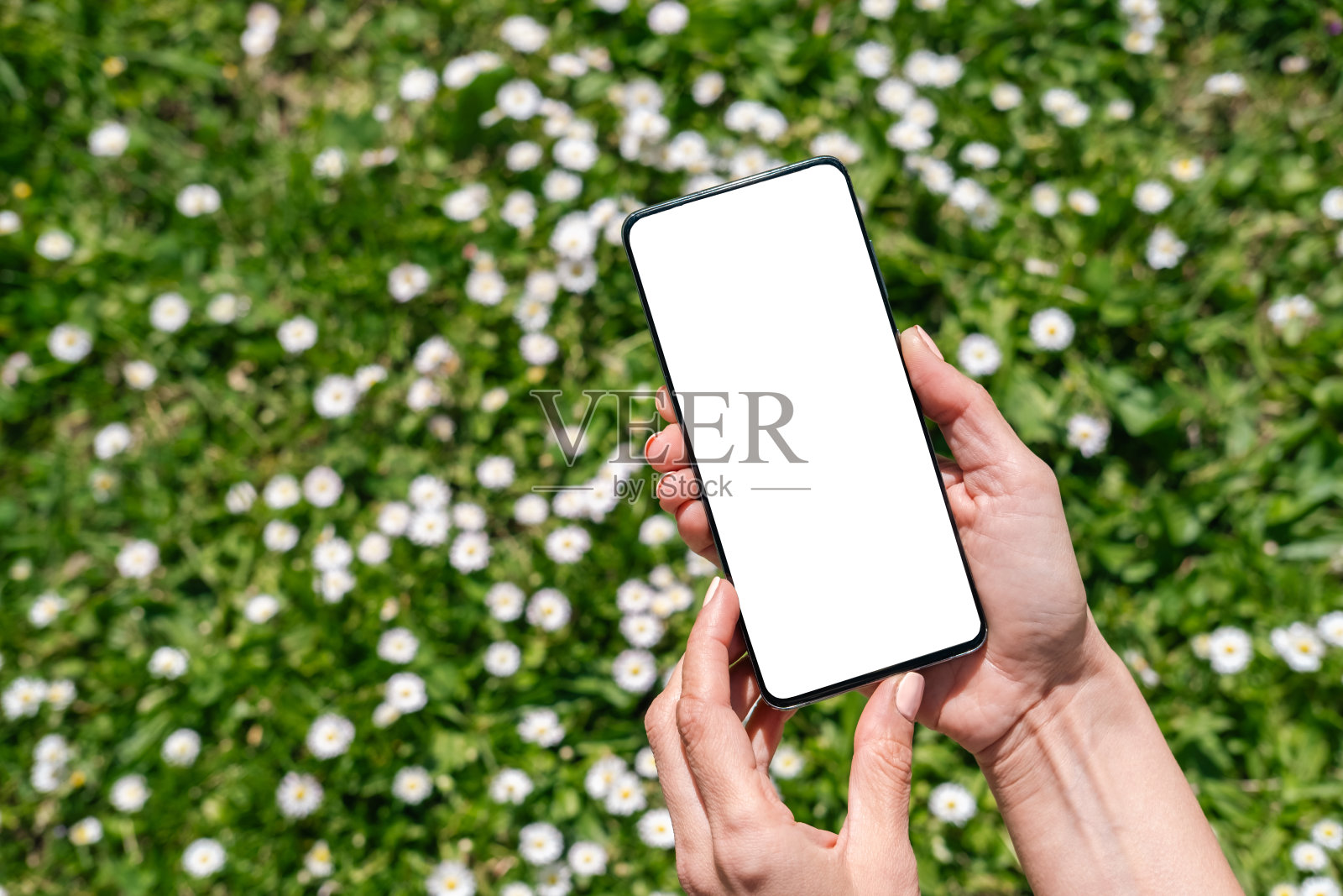 公园里一个拿着电话的女人的特写。照片摄影图片