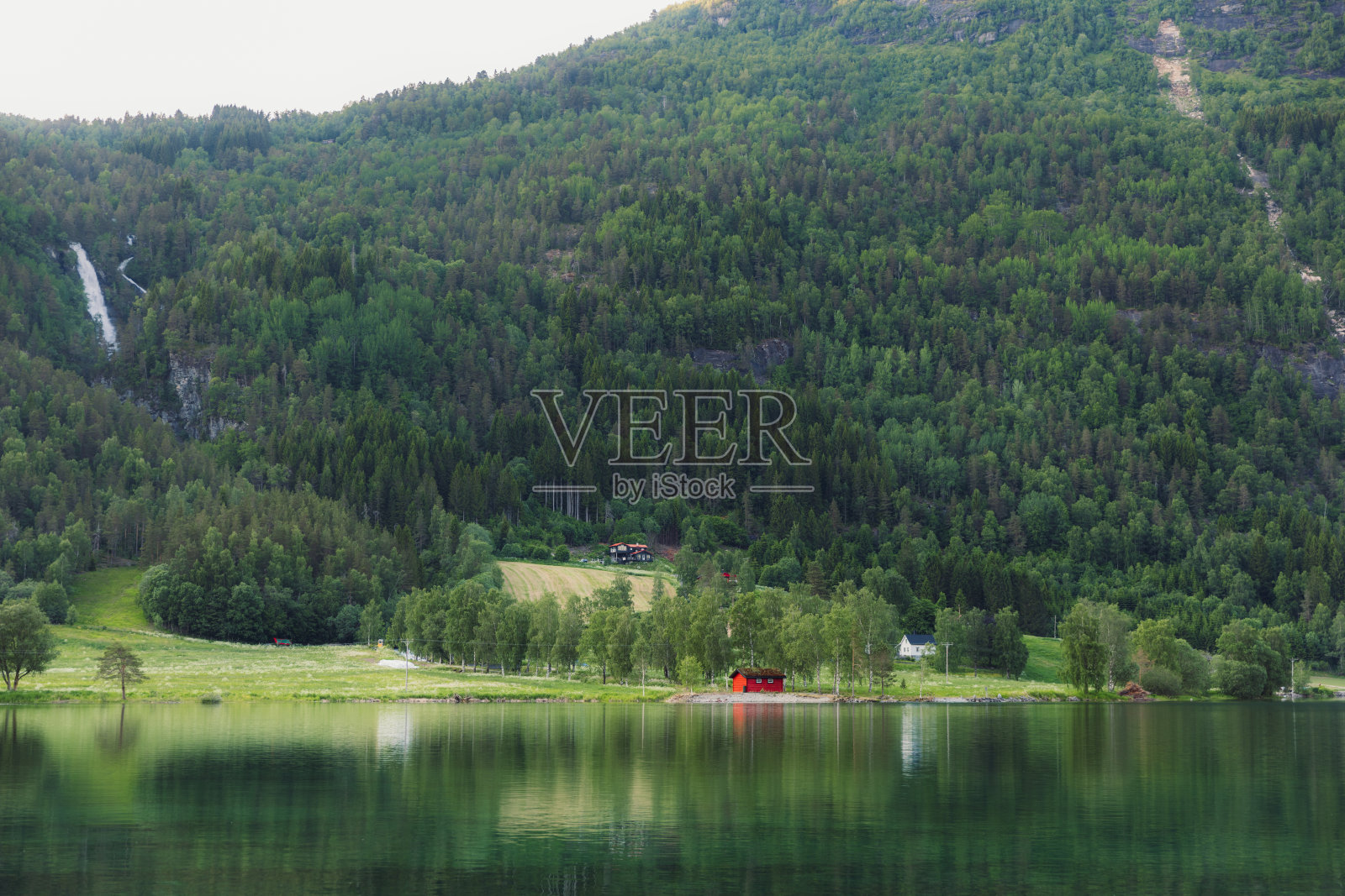 夏日清晨湖边的倒影照片摄影图片