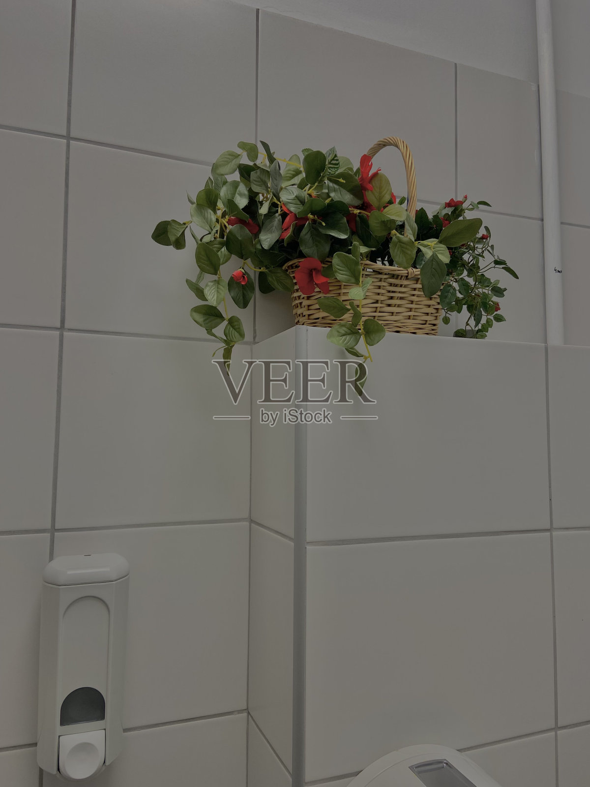 花篮照片摄影图片