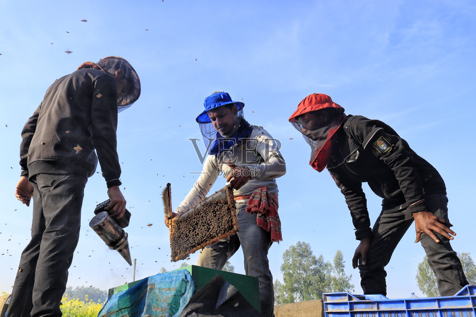 养蜂人拿着蜂蜜罐和蜜蜂照片摄影图片