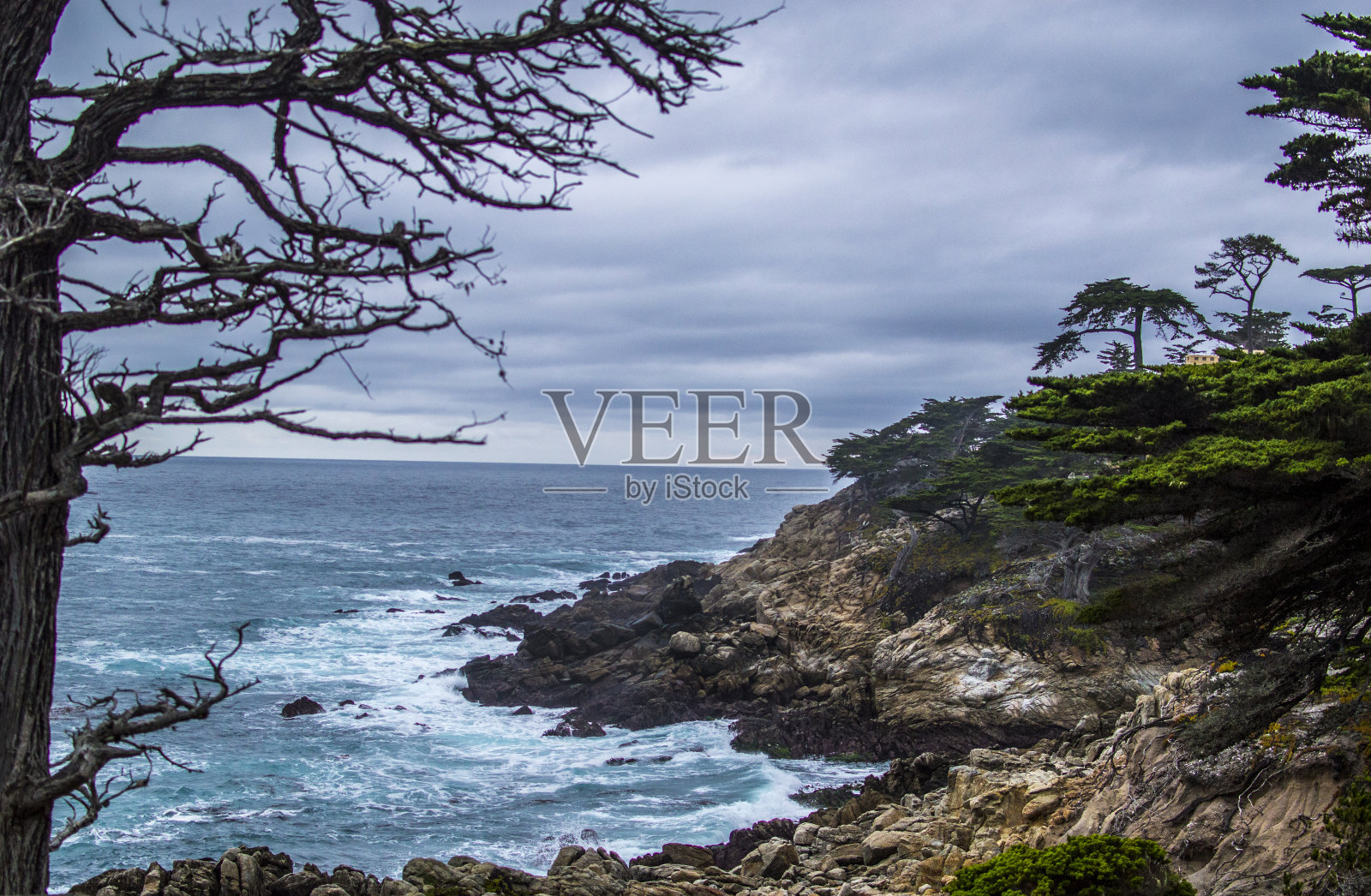 17英里路，加利福尼亚照片摄影图片