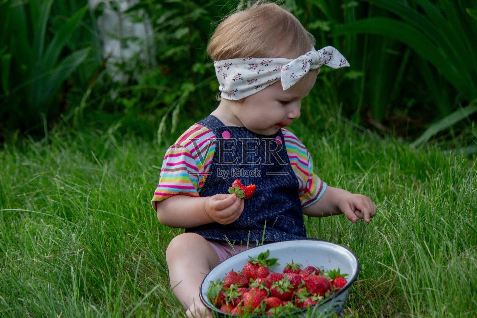 小女孩在花园里吃草莓。有选择性的重点照片摄影图片