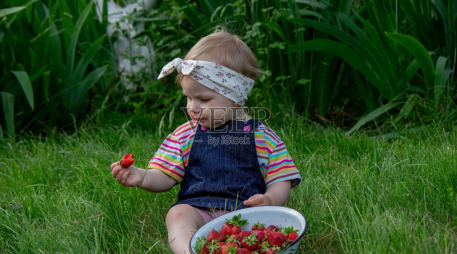 小女孩在花园里吃草莓。有选择性的重点照片摄影图片