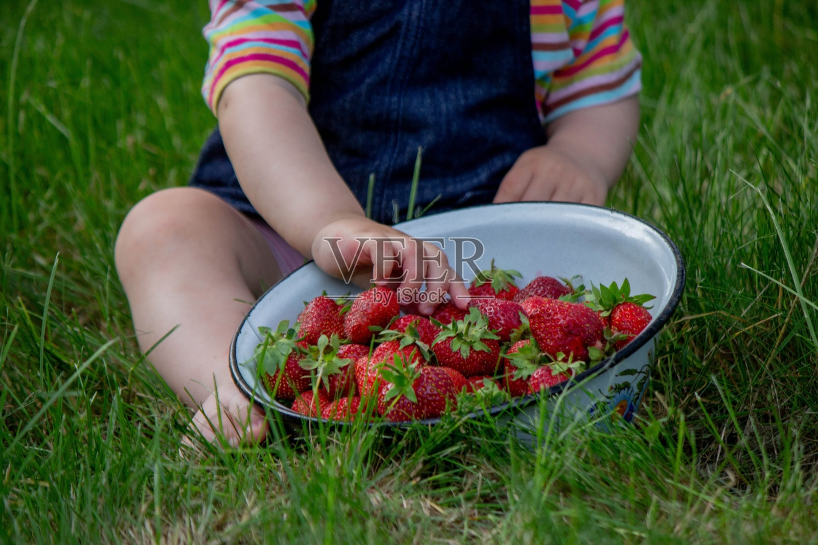 小女孩在花园里吃草莓。有选择性的重点照片摄影图片