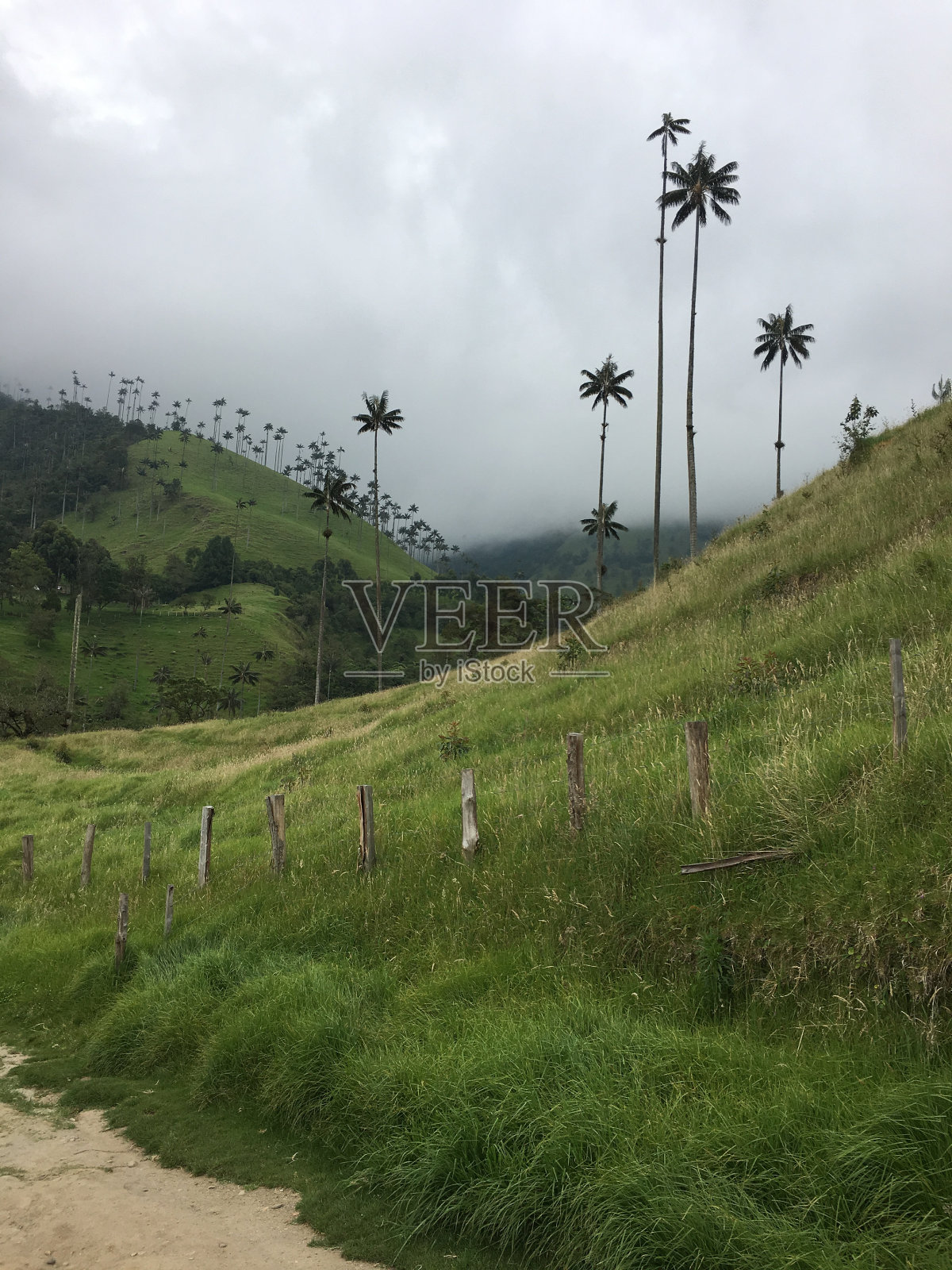 一条通往美丽的可可谷的土路照片摄影图片