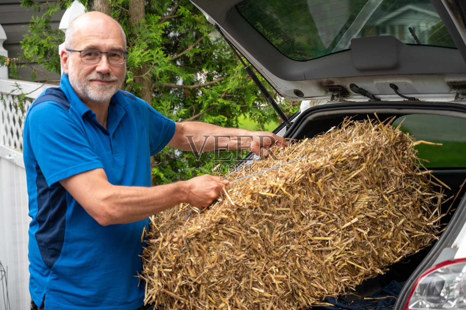 男子从汽车后备箱中取出稻草捆照片摄影图片