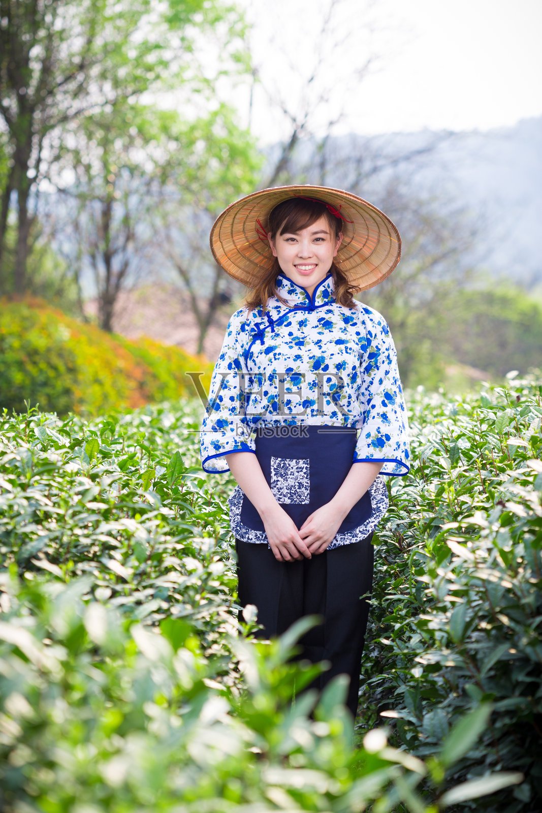 年轻村姑在茶园里照片摄影图片