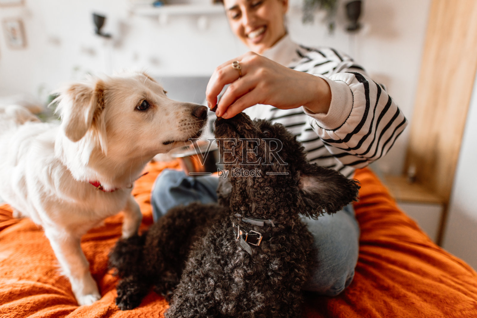 午餐时间到了。照片摄影图片