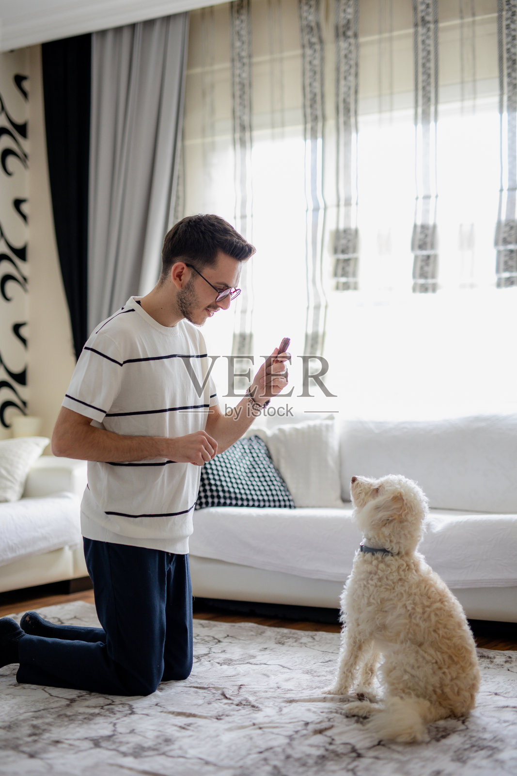 指挥他的狗的年轻人照片摄影图片