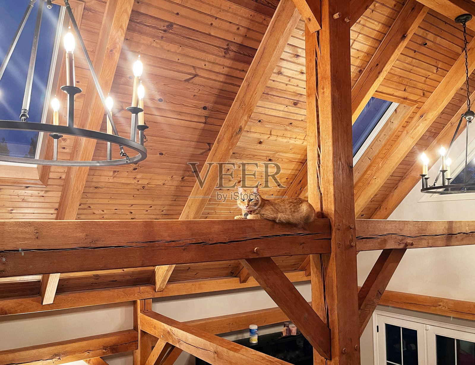 Timberpeg建设照片摄影图片