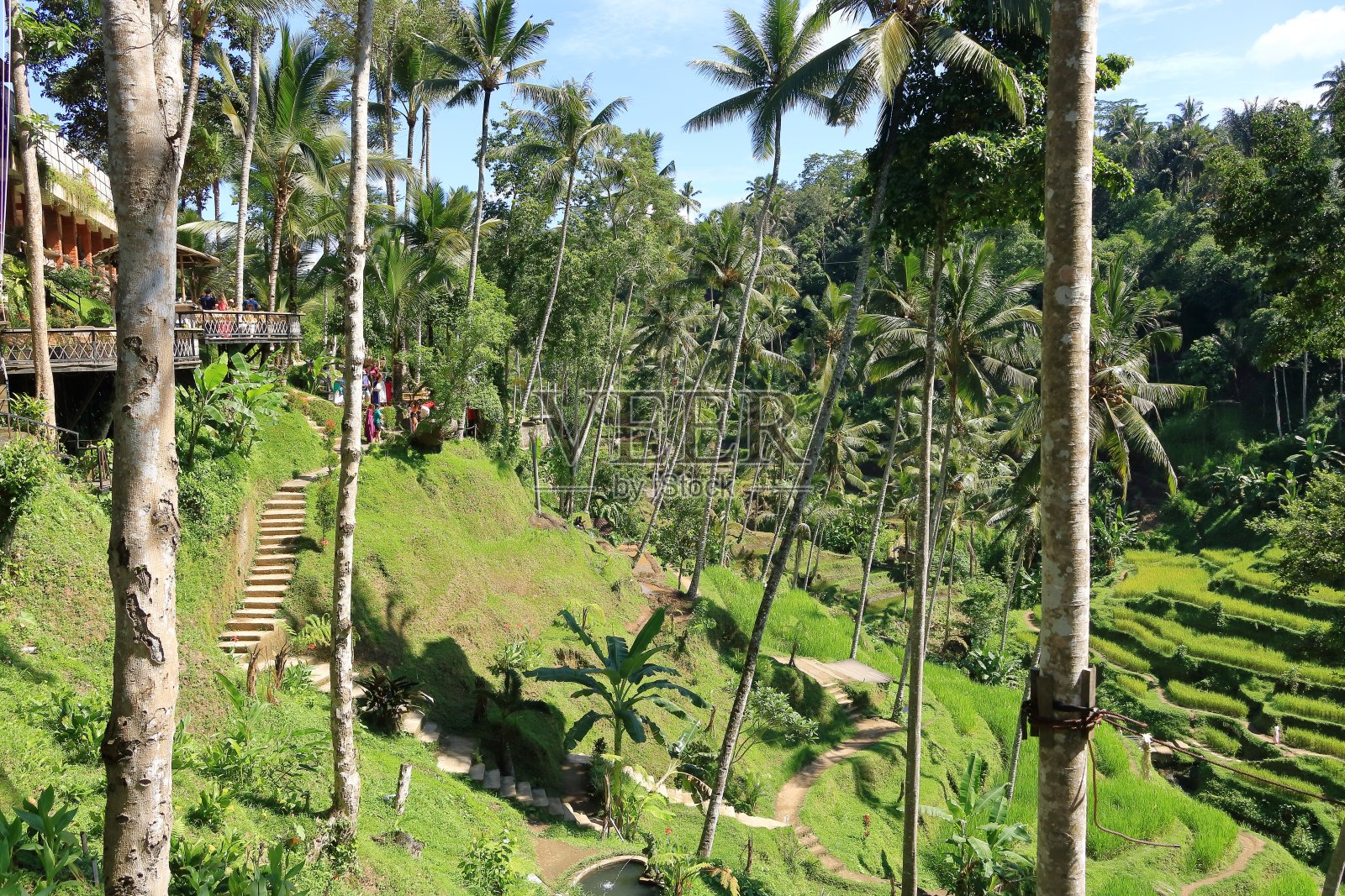 人们欣赏美丽的梯田照片摄影图片