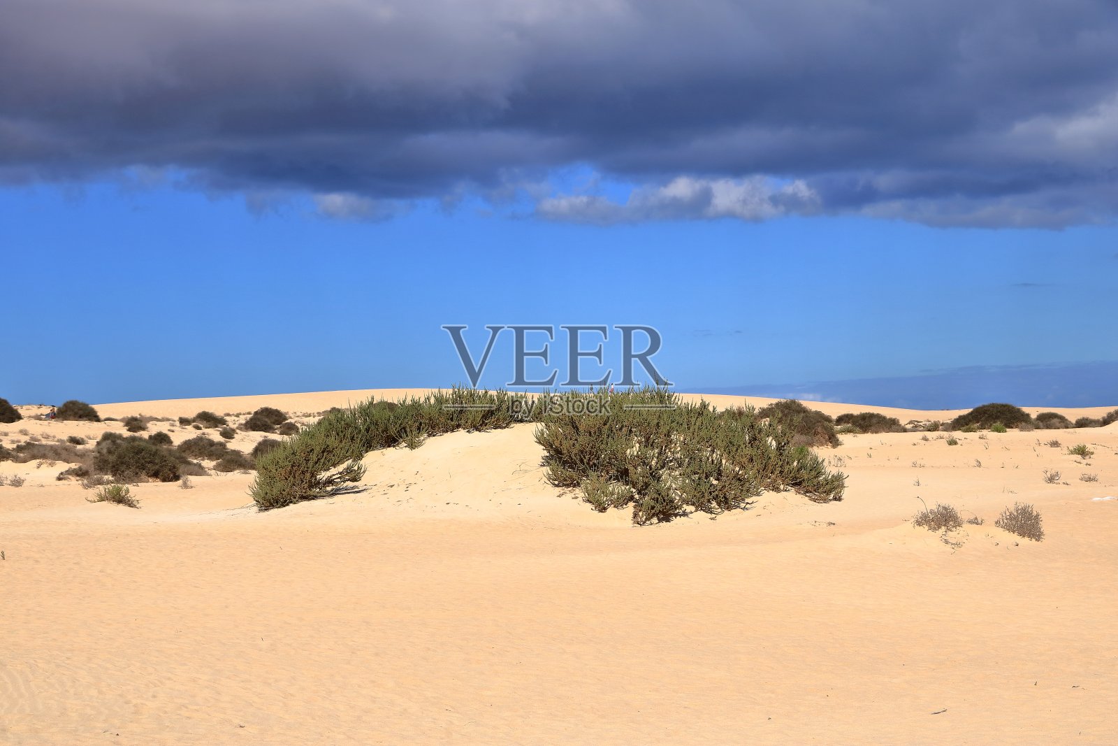 人们在科拉雷霍的沙丘上散步照片摄影图片