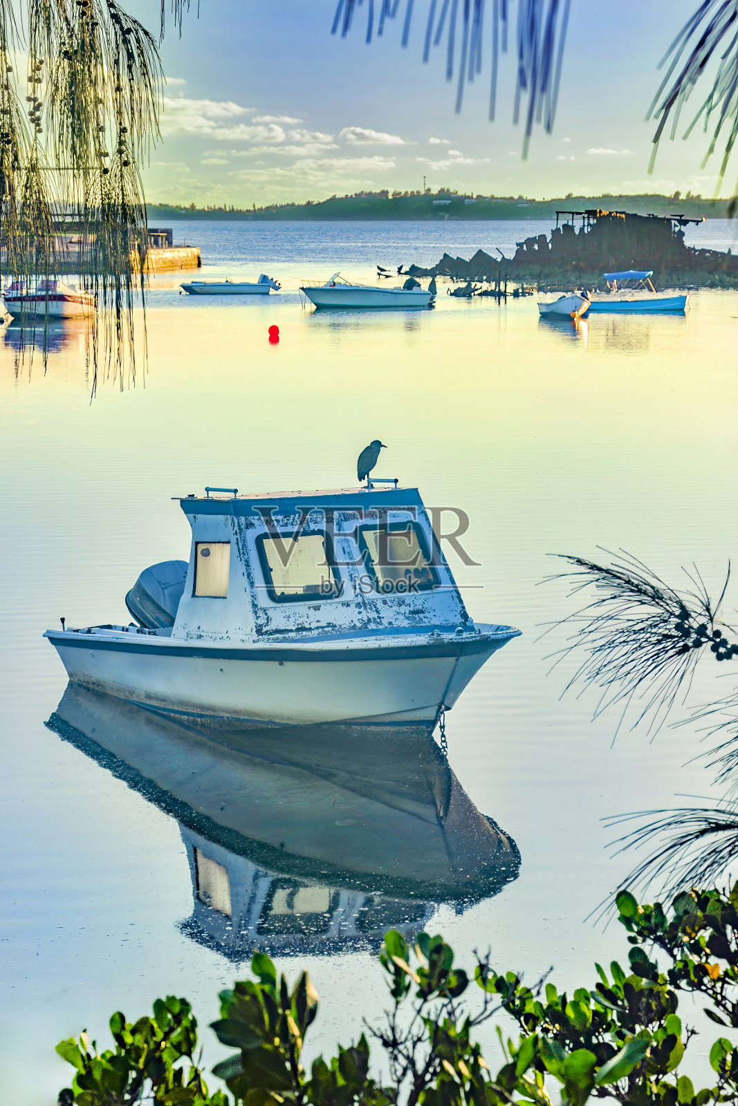 西班牙角百慕大渔船和鹈鹕结束一天照片摄影图片