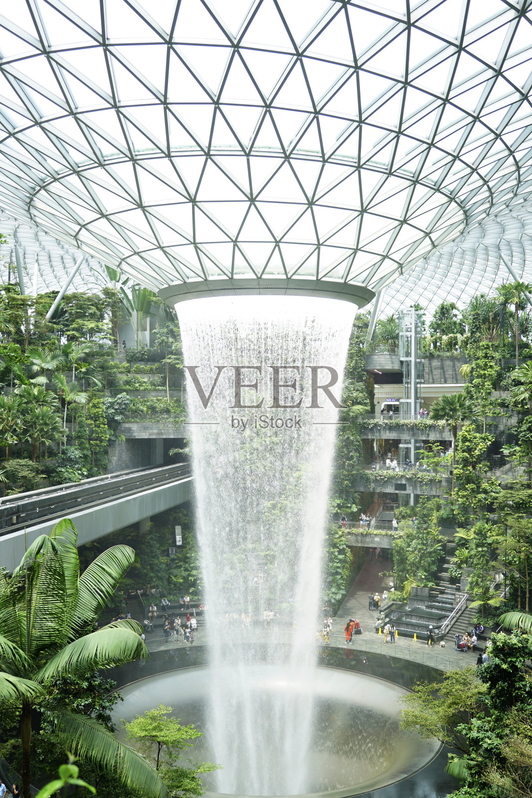 樟宜机场内著名的汇丰雨涡照片摄影图片