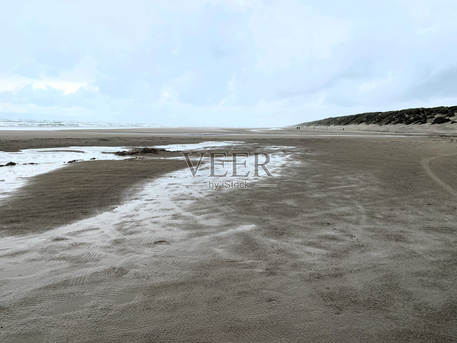 丹麦维耶斯海滩沙滩上的轮胎印。照片摄影图片