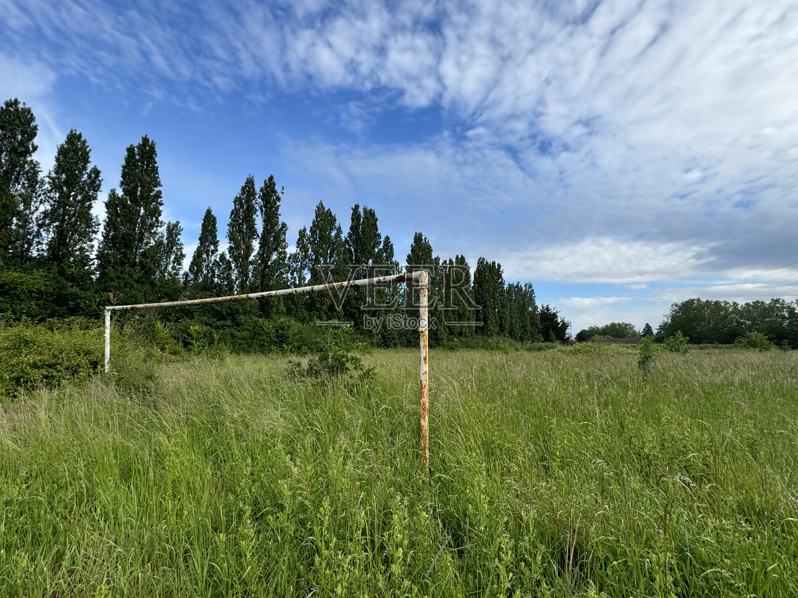 杂草丛生的门柱照片摄影图片