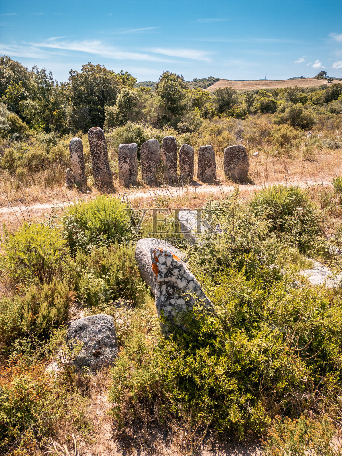 Menhirs在科西嘉的Palaggiu照片摄影图片