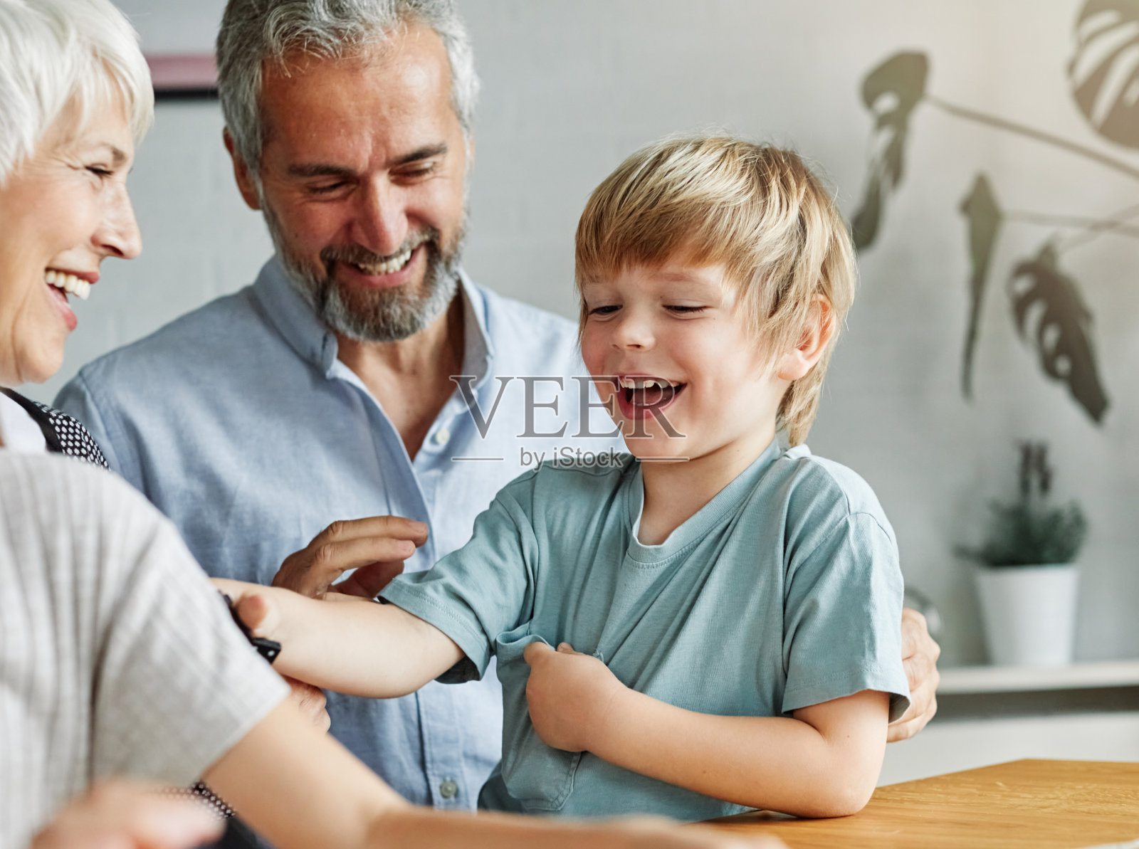 孙子，孙女，家庭，孩子，祖父母，祖父，祖父高兴地在一起，祖母，女孩，高级，男孩，男人，女人微笑，孙女，孙子，沙发照片摄影图片