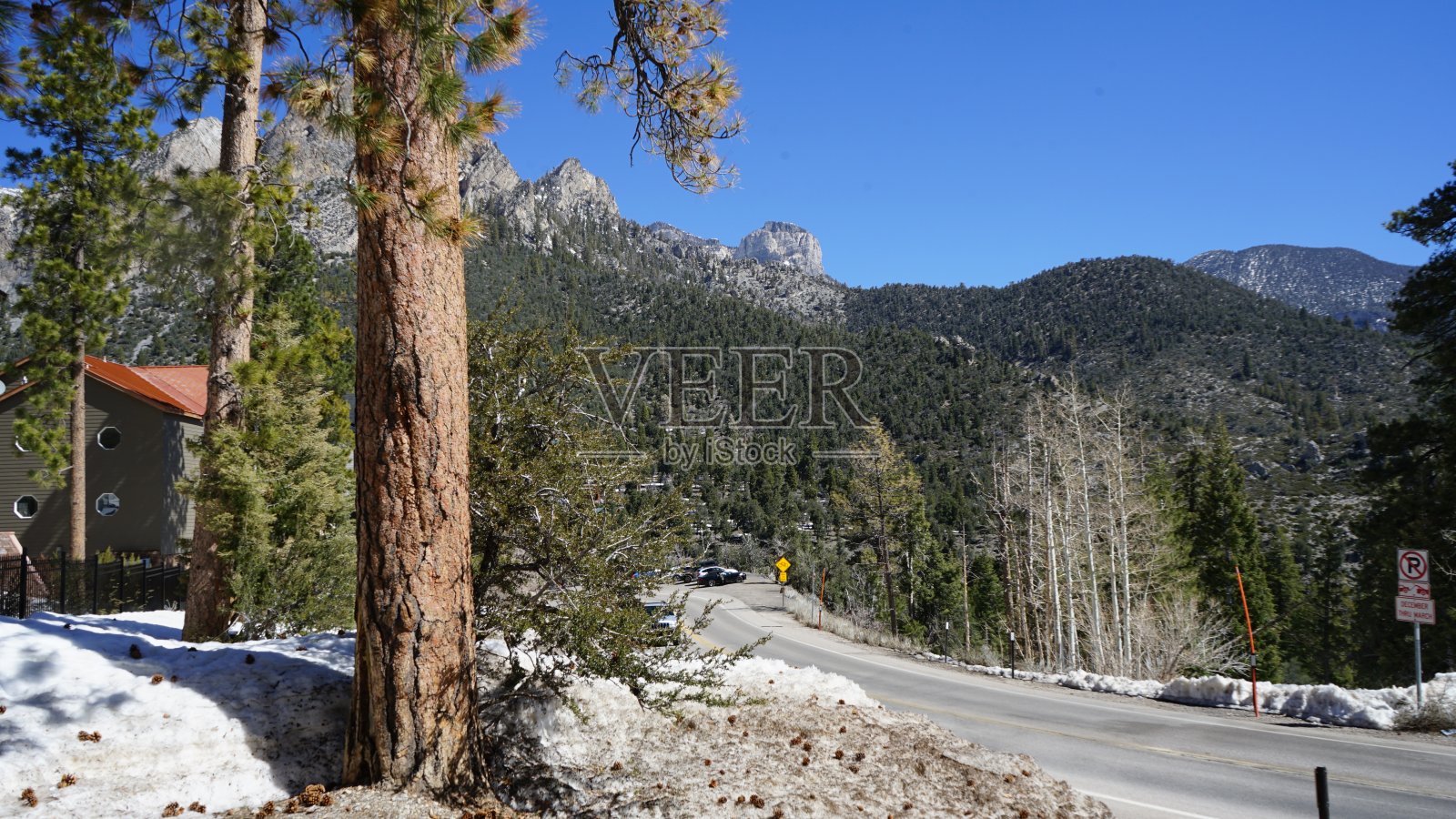 四月的查尔斯顿山和雪照片摄影图片