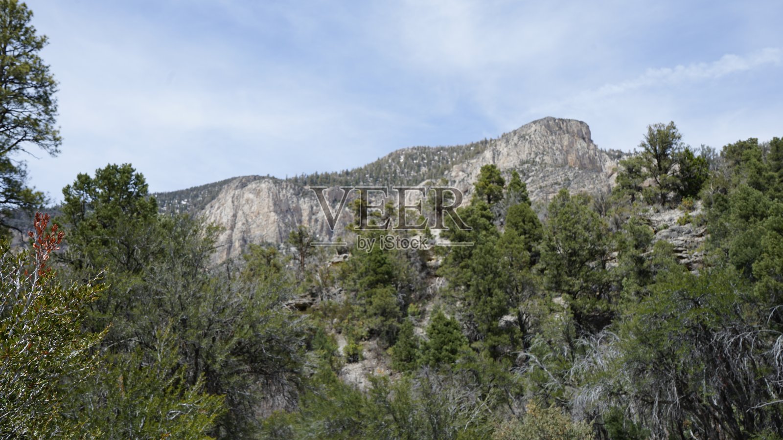 四月的查尔斯顿山和雪照片摄影图片