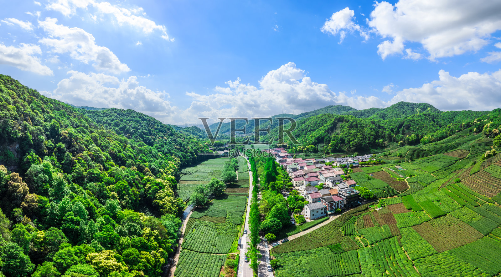 杭州绿茶种植园与山地自然景观鸟瞰图照片摄影图片